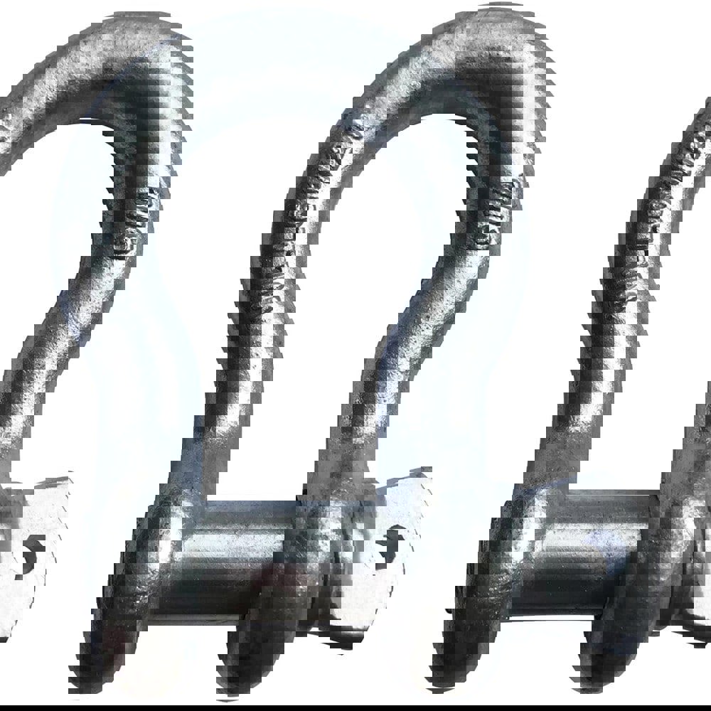 Anchor Shackle: Screw Pin