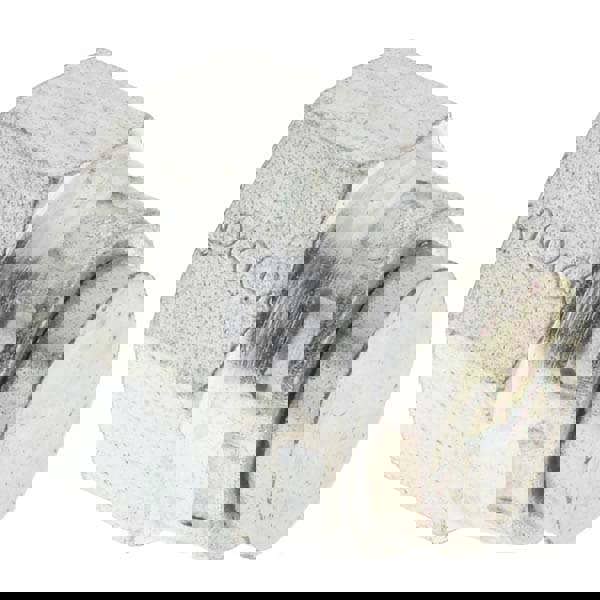 Hose-Adapters,Couplers,Connect