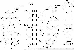 Idler Pulleys-V-Uhmw