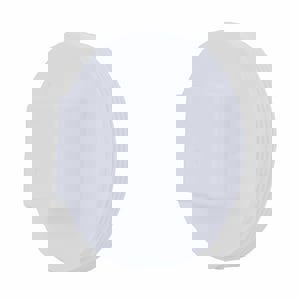 4 PVC DWV RAISED CO PLUG