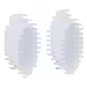 1-1/2 PVC S40 SPGT PLUG