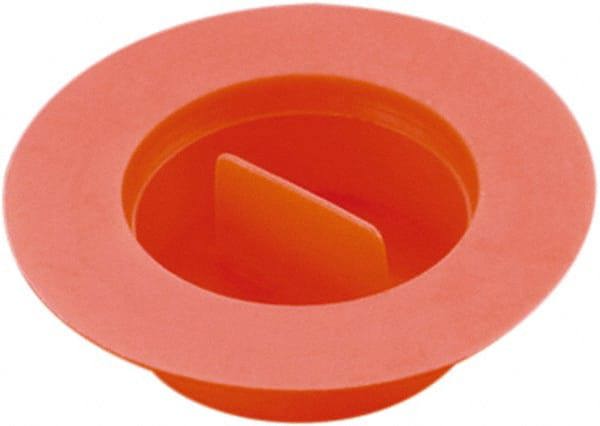 Plug with Flange: