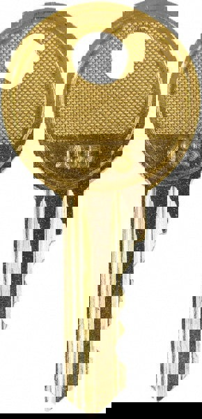 1.6 Inch Long, Limit Switch Safety Key