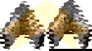 LF 1/2 BARB BRS 90 ELL