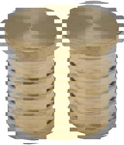 LF 1 BARB BRS TEST PLG