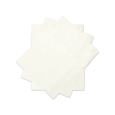 Catalog Mailing Envelope: 12