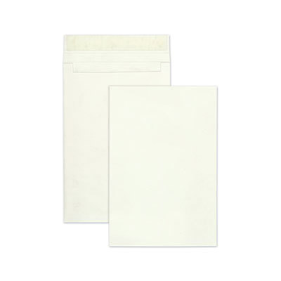 Tyvek Expansion Mailing Envelope: 12