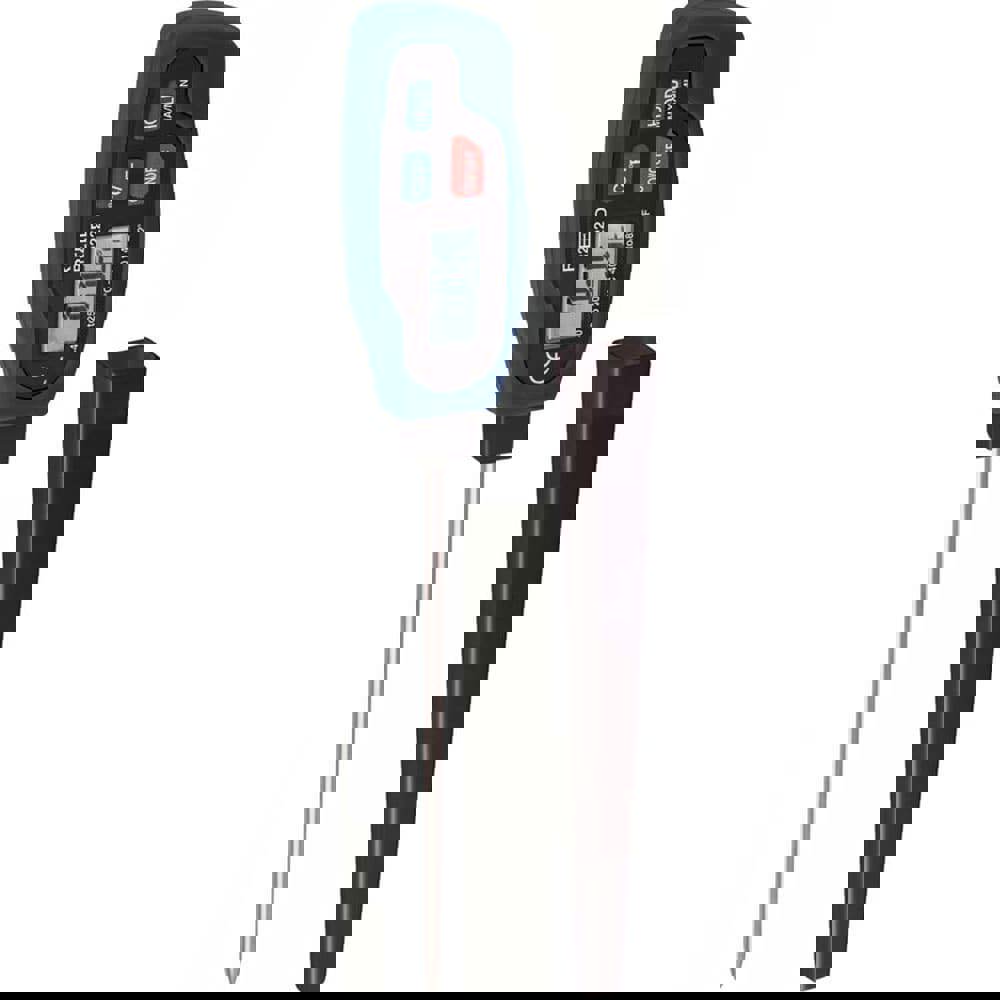 Digital Thermometer & Probe: 482 &deg; F