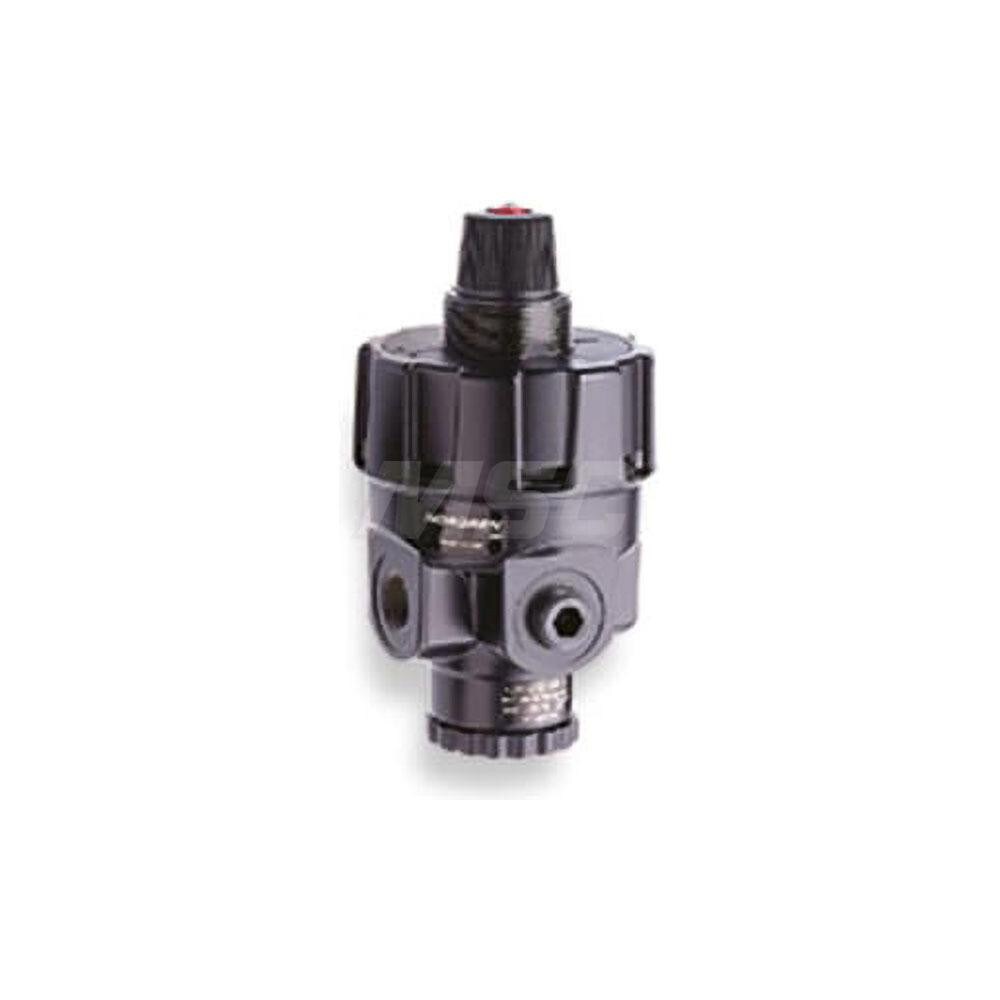 Compressed Air Regulator: 1/2