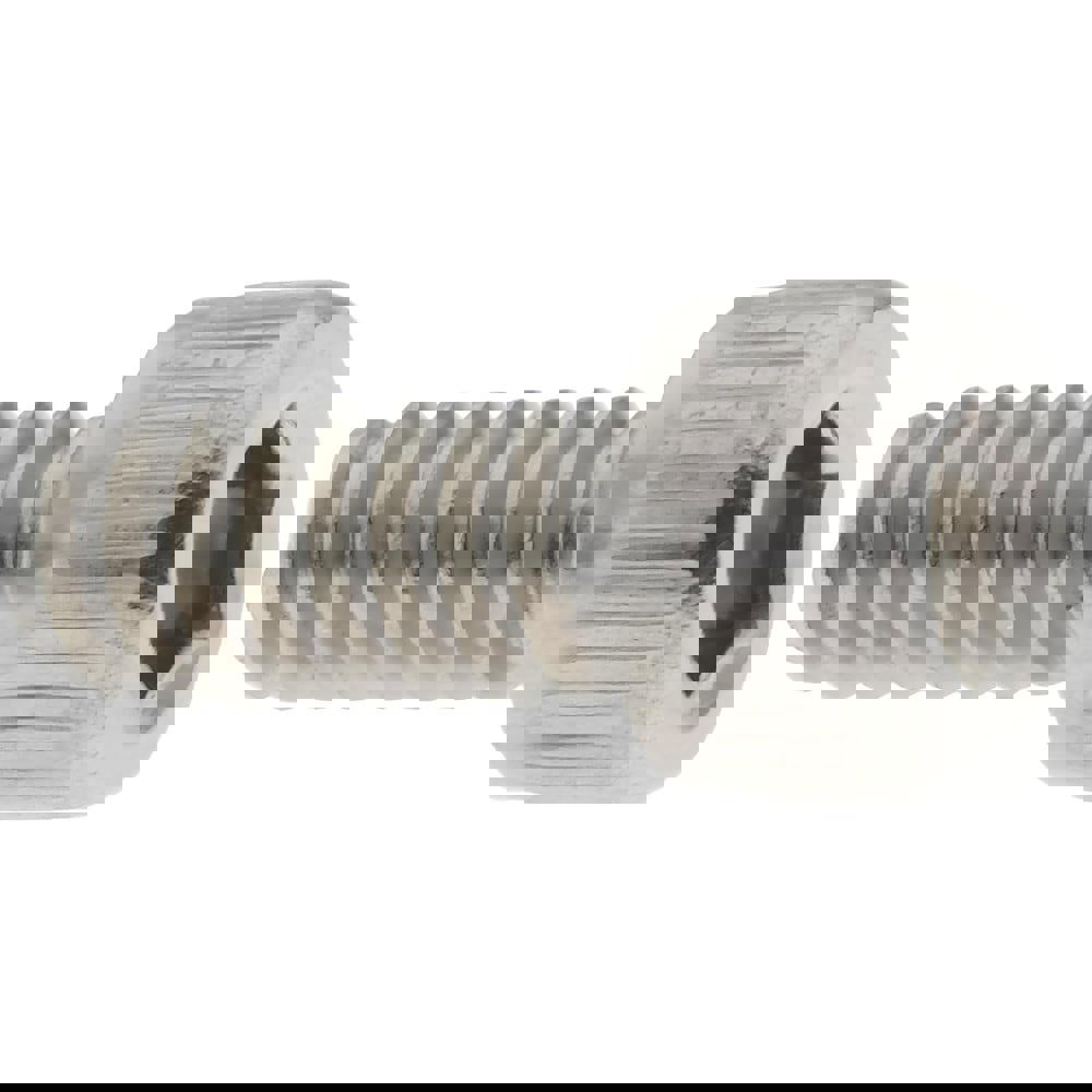 Hex Socket Cap Screw: #6-32, 5/16