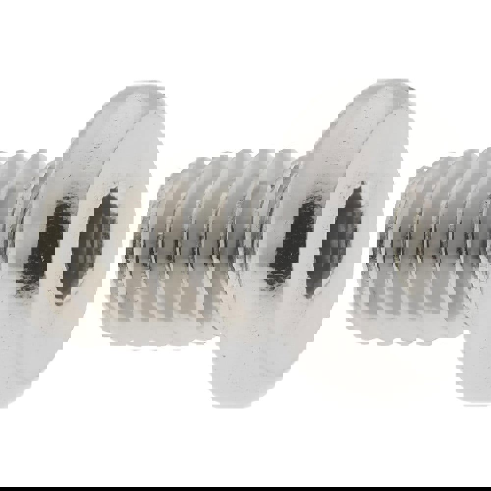 Low Hex Socket Cap Screw: #6-32, 1/4