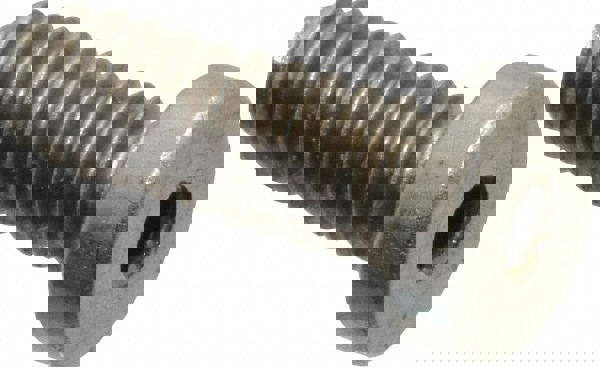 Low Hex Socket Cap Screw: #6-32, 3/8