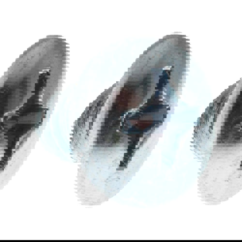 Sheet Metal Screw: #14, Pan Head, Phillips