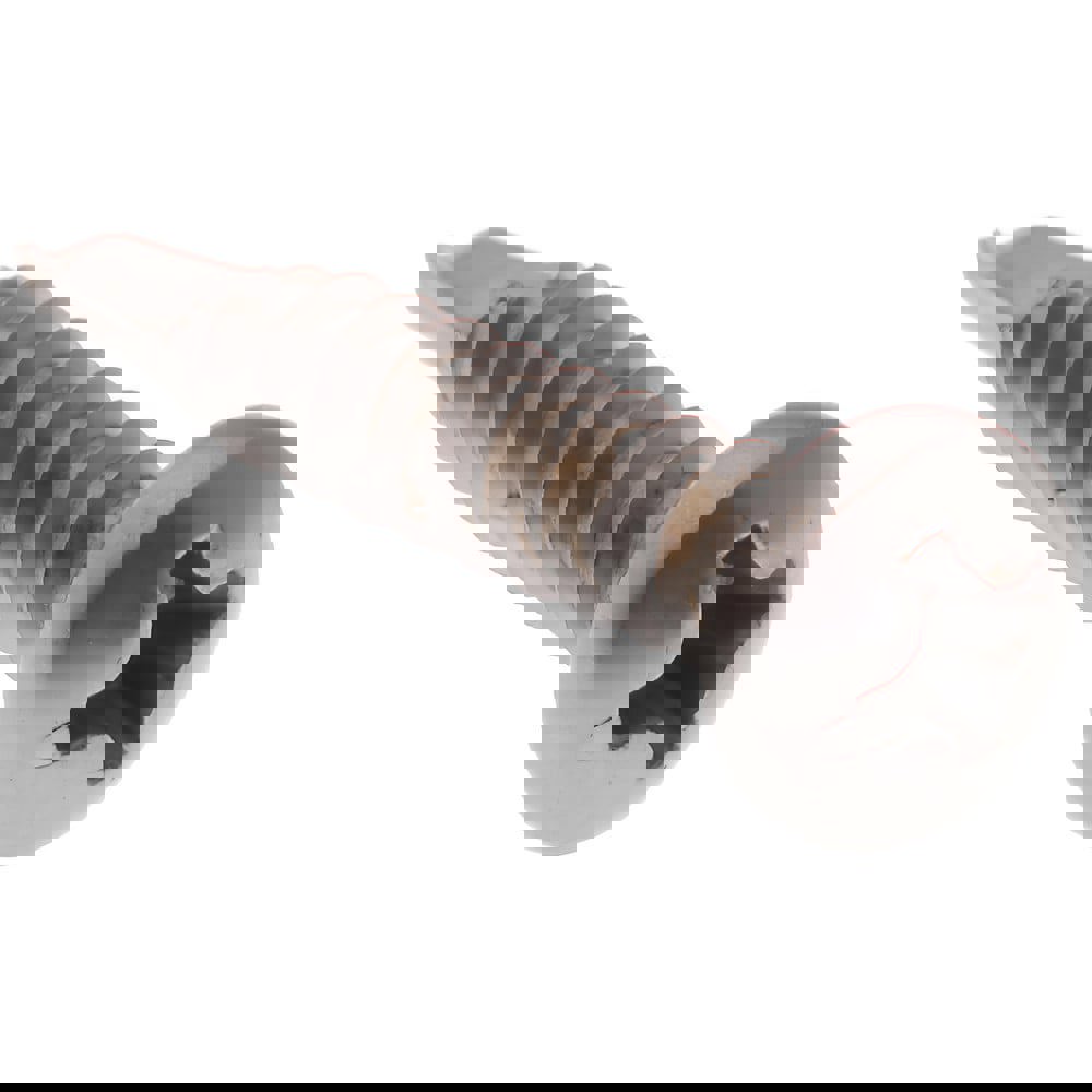 #6, Pan Head, Phillips Drive, 3/4