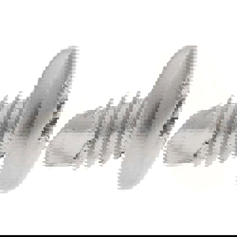 #10, Pan Head, Phillips Drive, 1/2