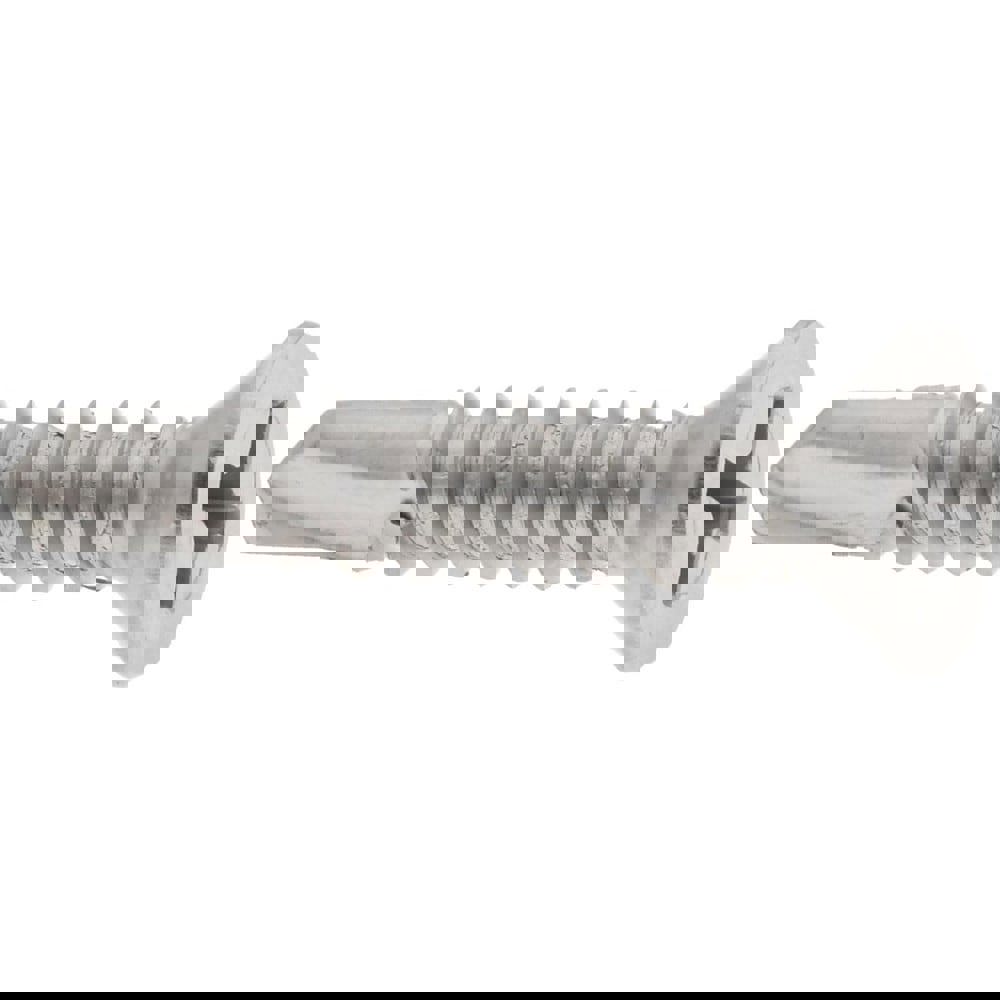 #10, Flat Head, Phillips Drive, 1