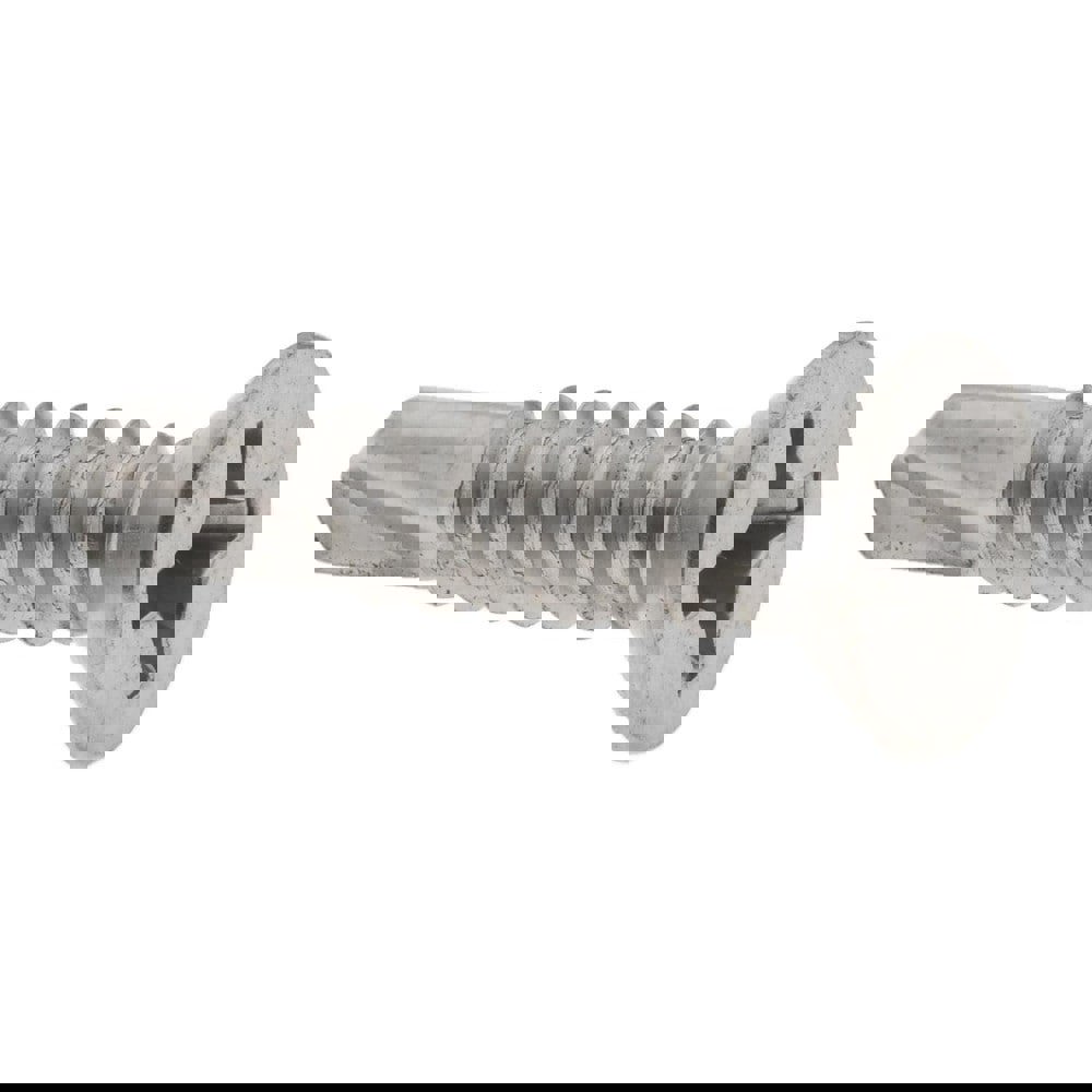 #12, Flat Head, Phillips Drive, 1