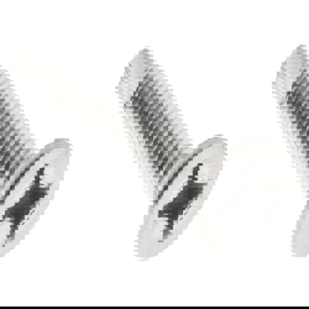 #12, Flat Head, Phillips Drive, 1-1/2