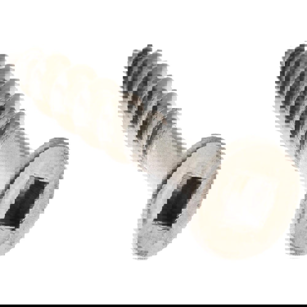 #8 Flat Head, Square Drive Stainless Steel Deck Screw