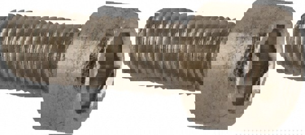 Hex Socket Cap Screw: #2-56, 1/4