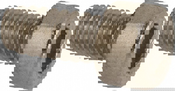 Hex Socket Cap Screw: #6-32, 5/16