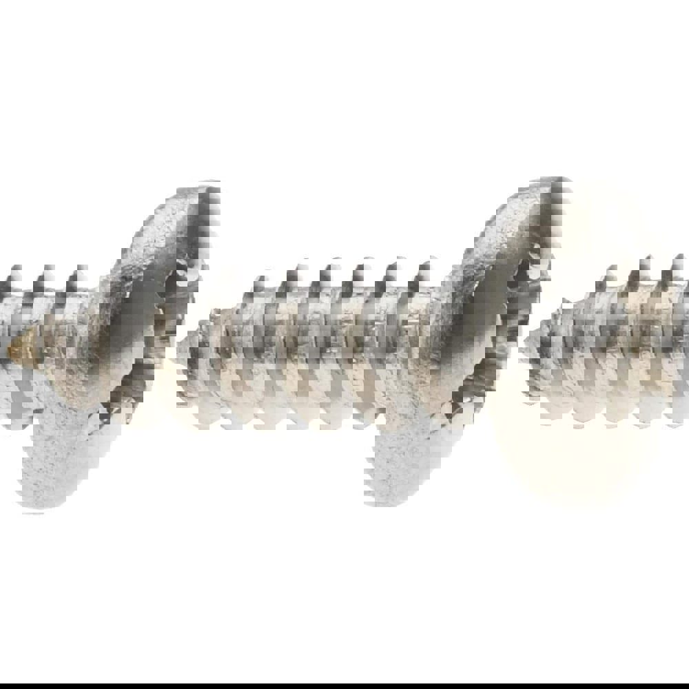 Sheet Metal Screw: #6, Pan Head, Phillips