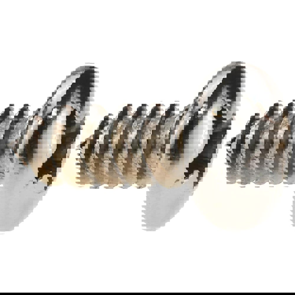 Sheet Metal Screw: #8, Pan Head, Phillips