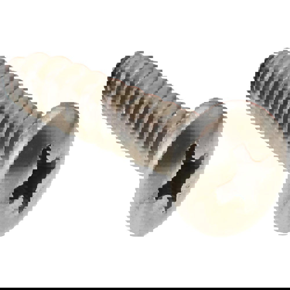 Sheet Metal Screw: #10, Pan Head, Phillips