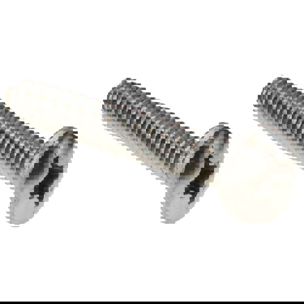Sheet Metal Screw: #10, Pan Head, Phillips