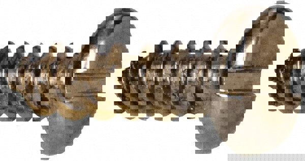 Sheet Metal Screw: #10, Pan Head, Slotted