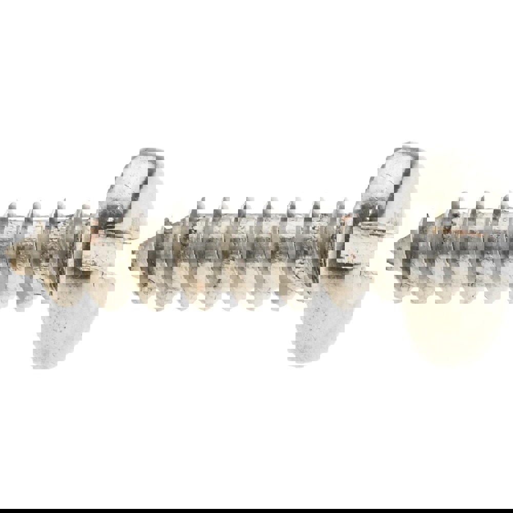 Sheet Metal Screw: #10, Pan Head, Slotted