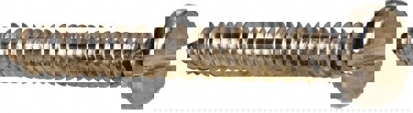 Sheet Metal Screw: #10, Pan Head, Slotted