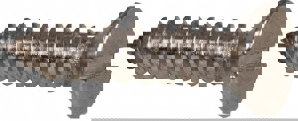 Sheet Metal Screw: #8, Flat Head, Slotted