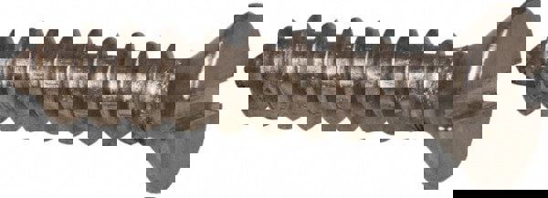 Sheet Metal Screw: #10, Flat Head, Slotted