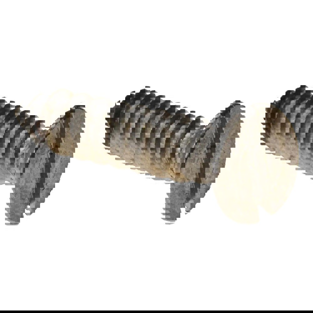 Sheet Metal Screw: #12, Flat Head, Slotted