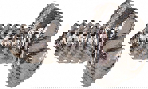 Sheet Metal Screw: #8, Hex Washer Head, Slotted