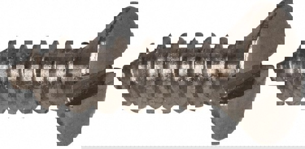 Sheet Metal Screw: #6, Oval Head, Slotted