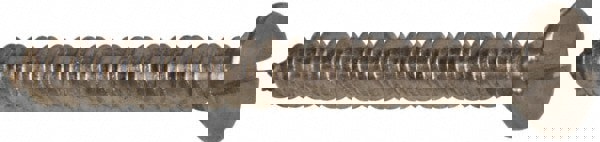 Sheet Metal Screw: #6, Oval Head, Slotted