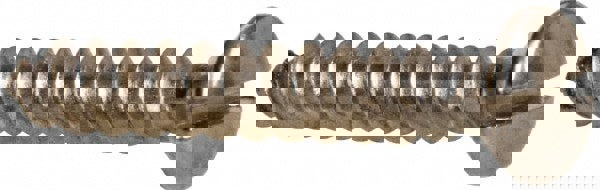 Sheet Metal Screw: #10, Oval Head, Slotted