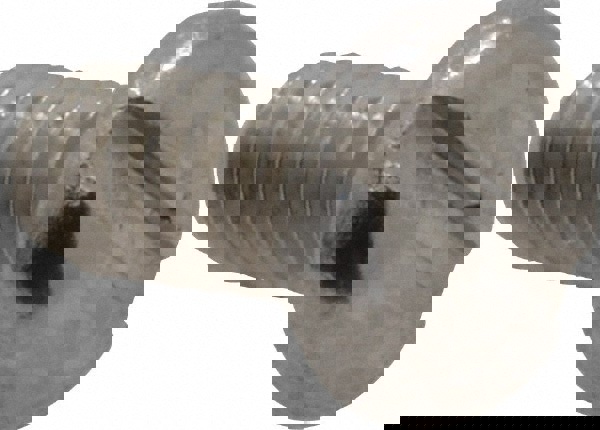 Machine Screw: #2-56 x 3/16