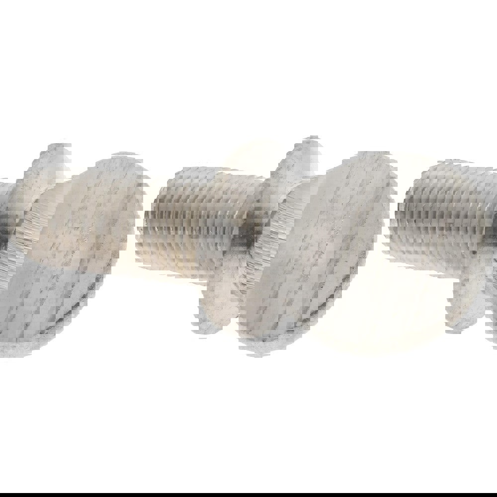 18-8 Stainless Steel Thumb Screw: 5/16-18, Oval Head