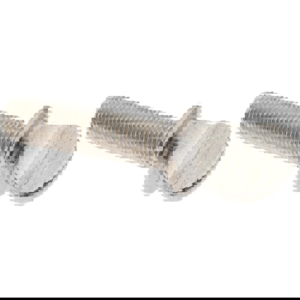 18-8 Stainless Steel Thumb Screw: 1/4-20, Oval Head