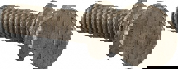 18-8 Stainless Steel Thumb Screw: 5/16-18, Oval Head