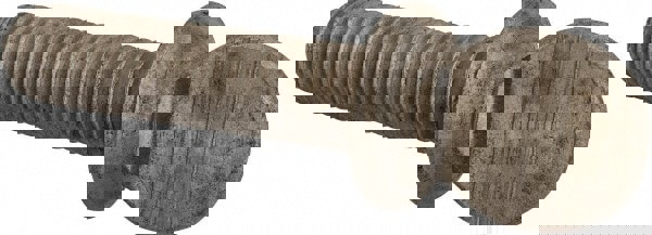 18-8 Stainless Steel Thumb Screw: 3/8-16, Oval Head