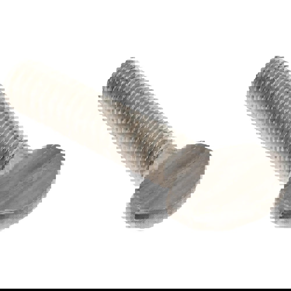 18-8 Stainless Steel Thumb Screw: 1/4-20, Oval Head