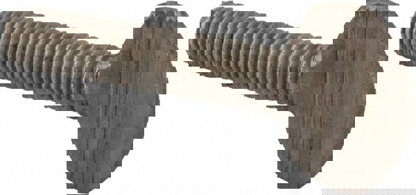 18-8 Stainless Steel Thumb Screw: 5/16-18, Oval Head