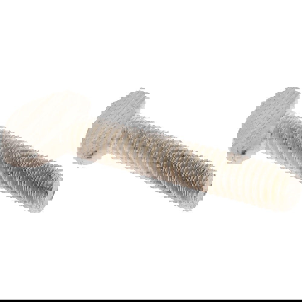 18-8 Stainless Steel Thumb Screw: 3/8-16, Oval Head