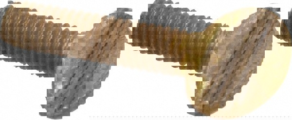 Brass Thumb Screw: #10-32, Oval Head