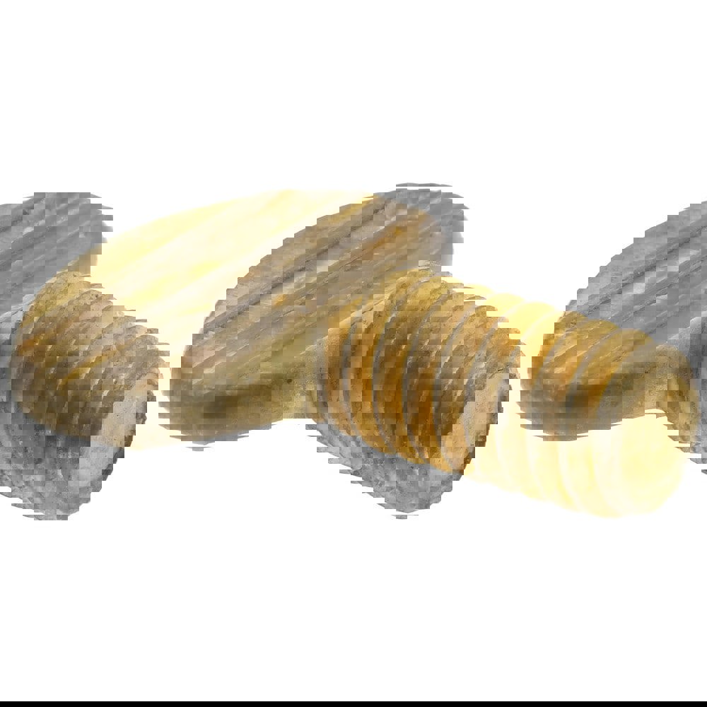 Brass Thumb Screw: 1/4-20, Oval Head