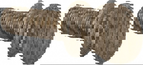 18-8 Stainless Steel Thumb Screw: #10-24, Oval Head